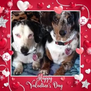 Meet your Posher, Donalu